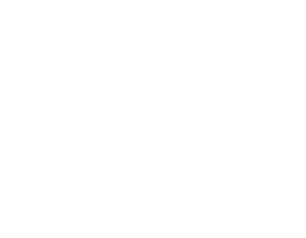 Digital Secrets Store